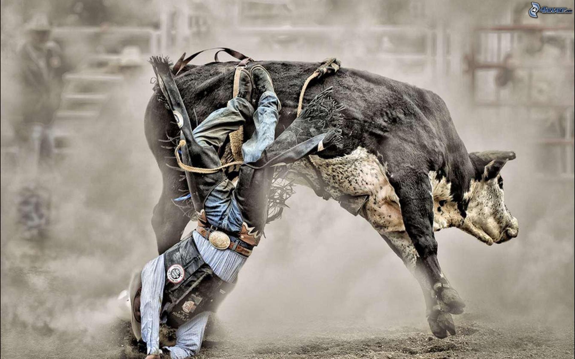 1920x1200 Bull Riding Wallpaper, Desktop