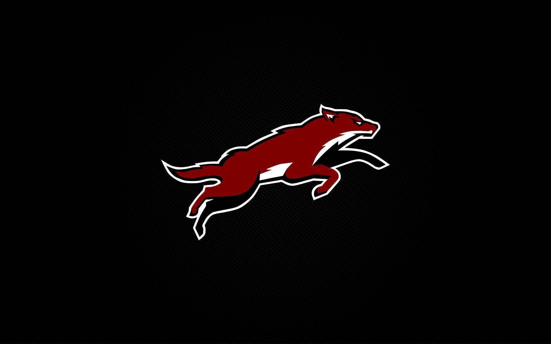 1920x1200 Phoenix Coyotes Wallpaper. Phoenix Arizona Coyotes, Desktop