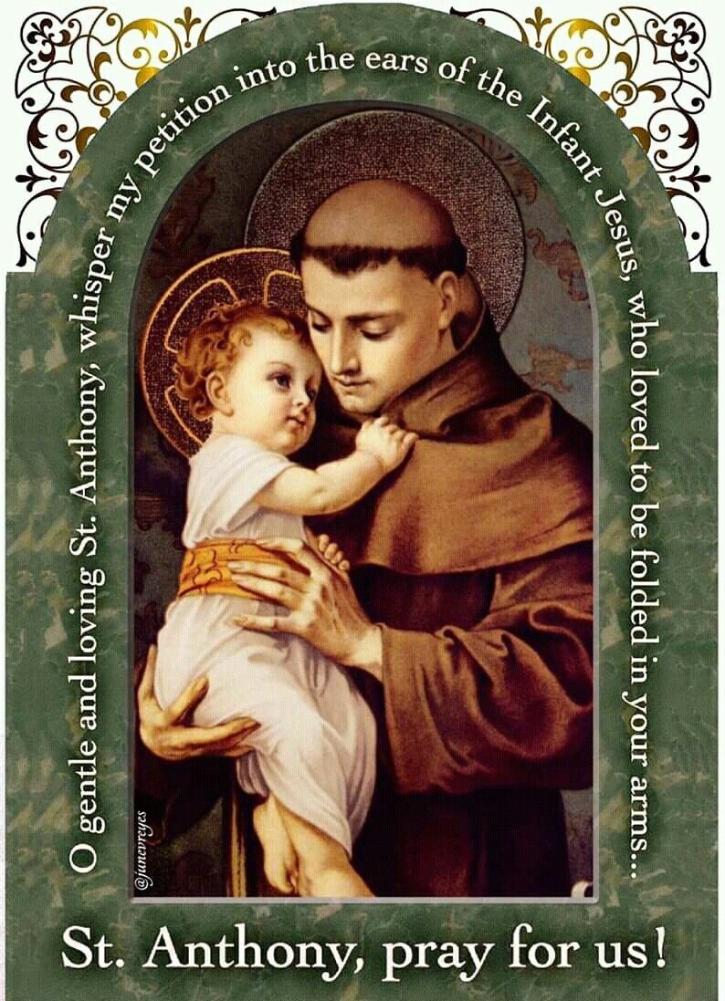 800x1100 St. Anthony of Padua ideas. padua, saint anthony of padua, saint anthony, Phone