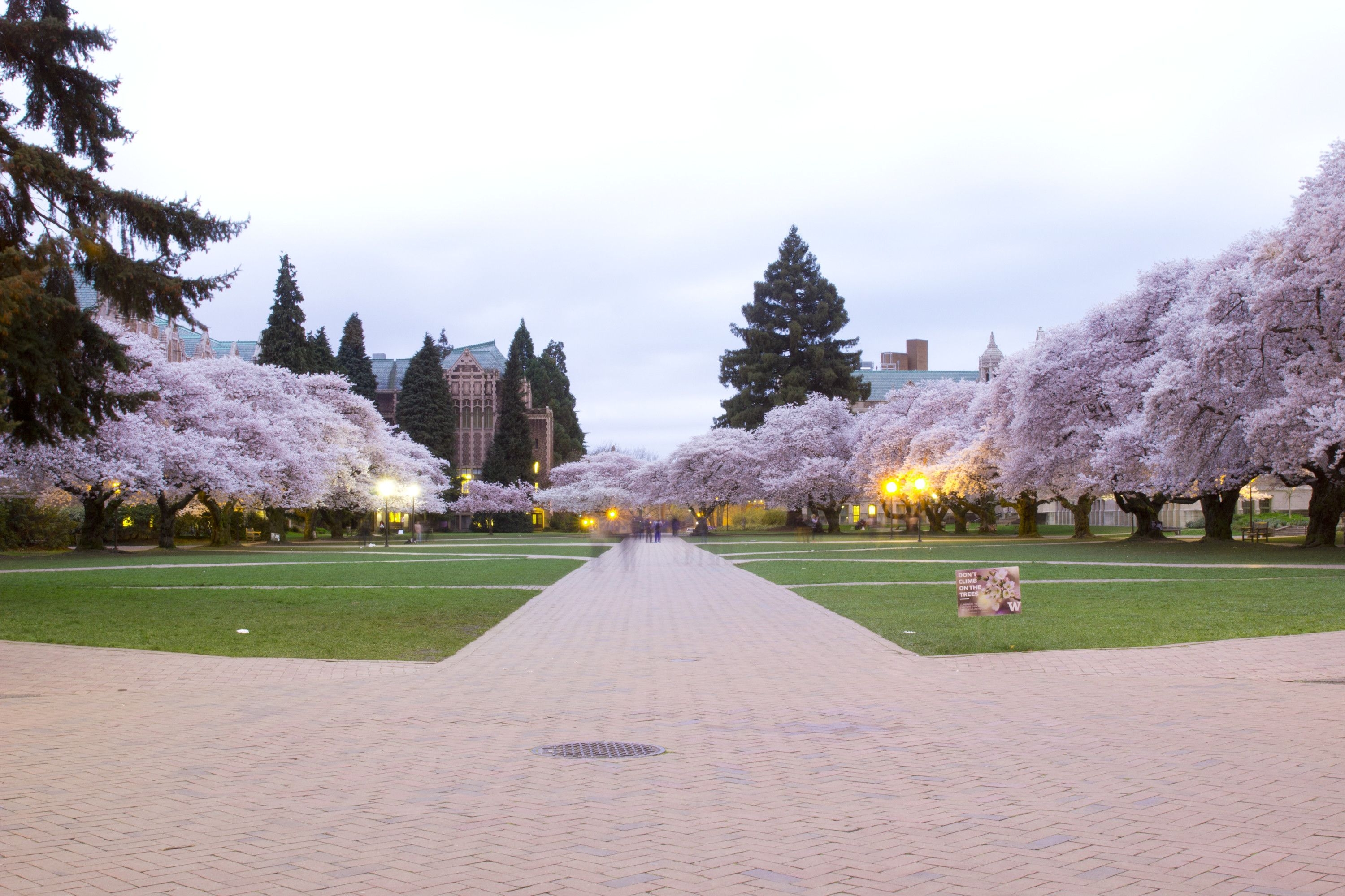 3000x2000 University of Washington, Desktop