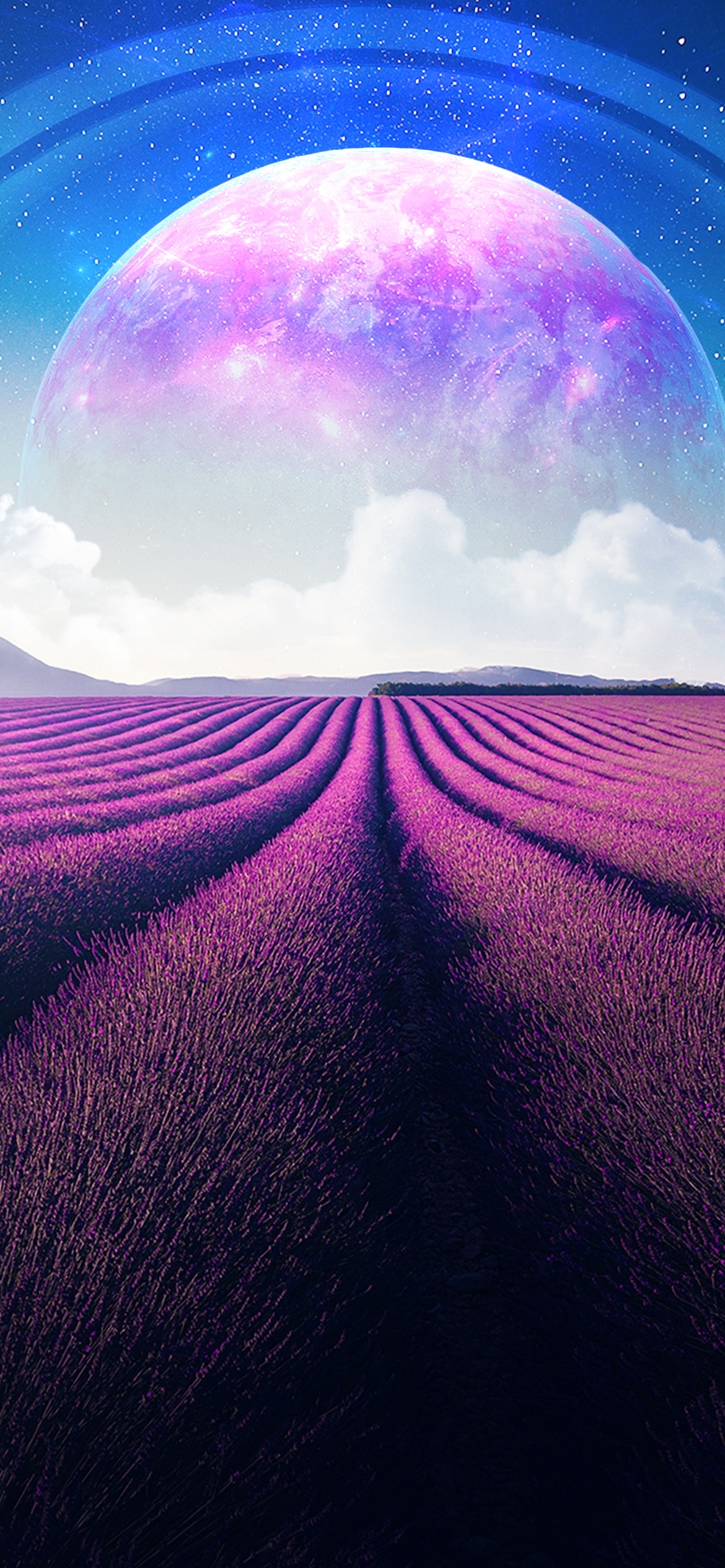 1170x2540 Lavender fields Wallpaper 4K, Lavender farm, Landscape, Planet, Surreal, Nature, Phone