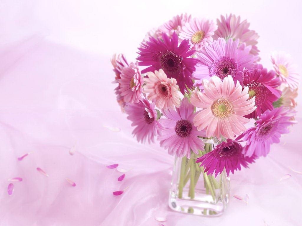 1030x770 Colorful Daisy Flower Wallpaper, Desktop