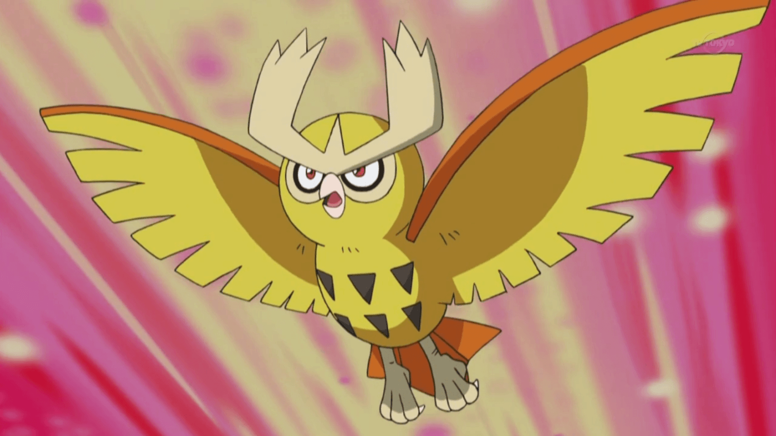 1570x890 Pokémon by Review: -, Hoothoot & Noctowl, Desktop