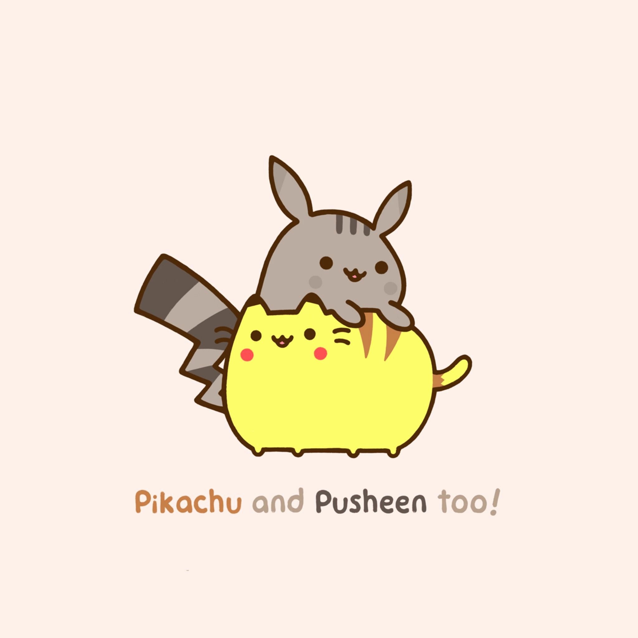 2050x2050 pusheen wallpaper 049, Phone