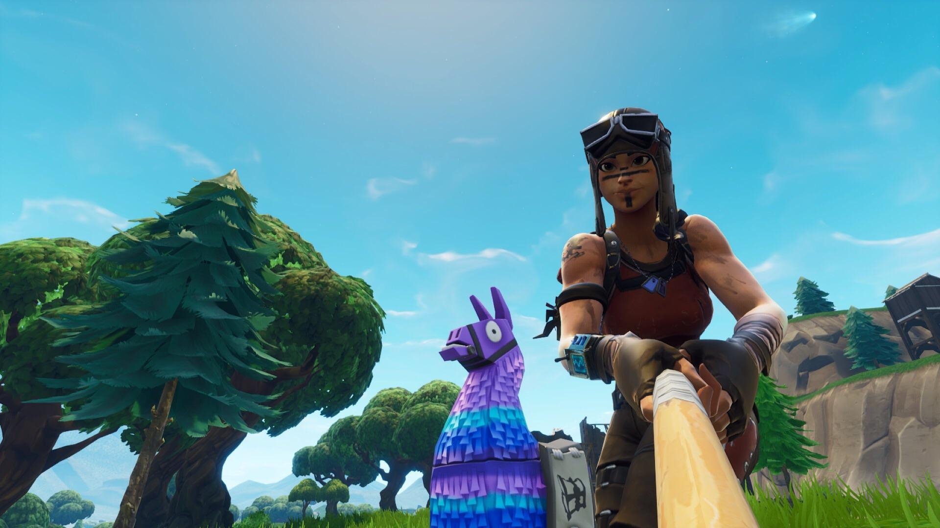 1920x1080 Took a selfie with a llama, ended up getting the comet too, Desktop