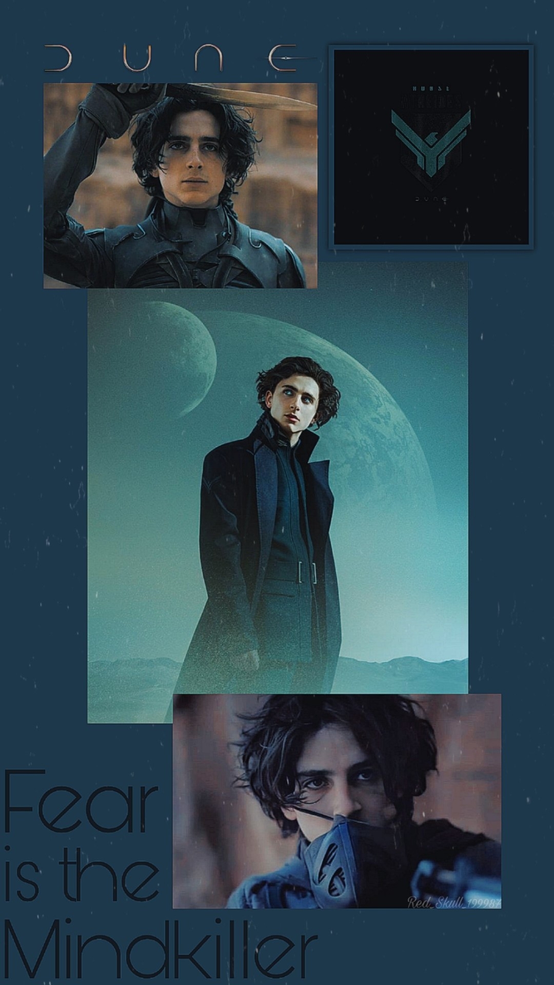 1080x1920 timothee wallpaper Tumblr posts, Phone