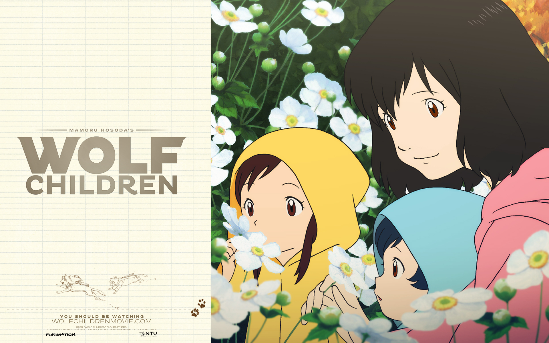 1920x1200 Wolf Children Wallpaper 17 X 1200, Desktop