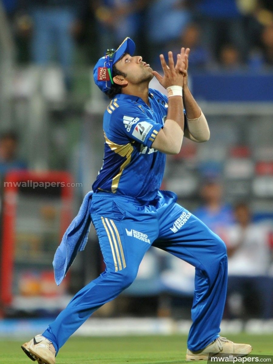 900x1200 Rohit Sharma HD Wallpaper Image (1080p) () (2020), Phone