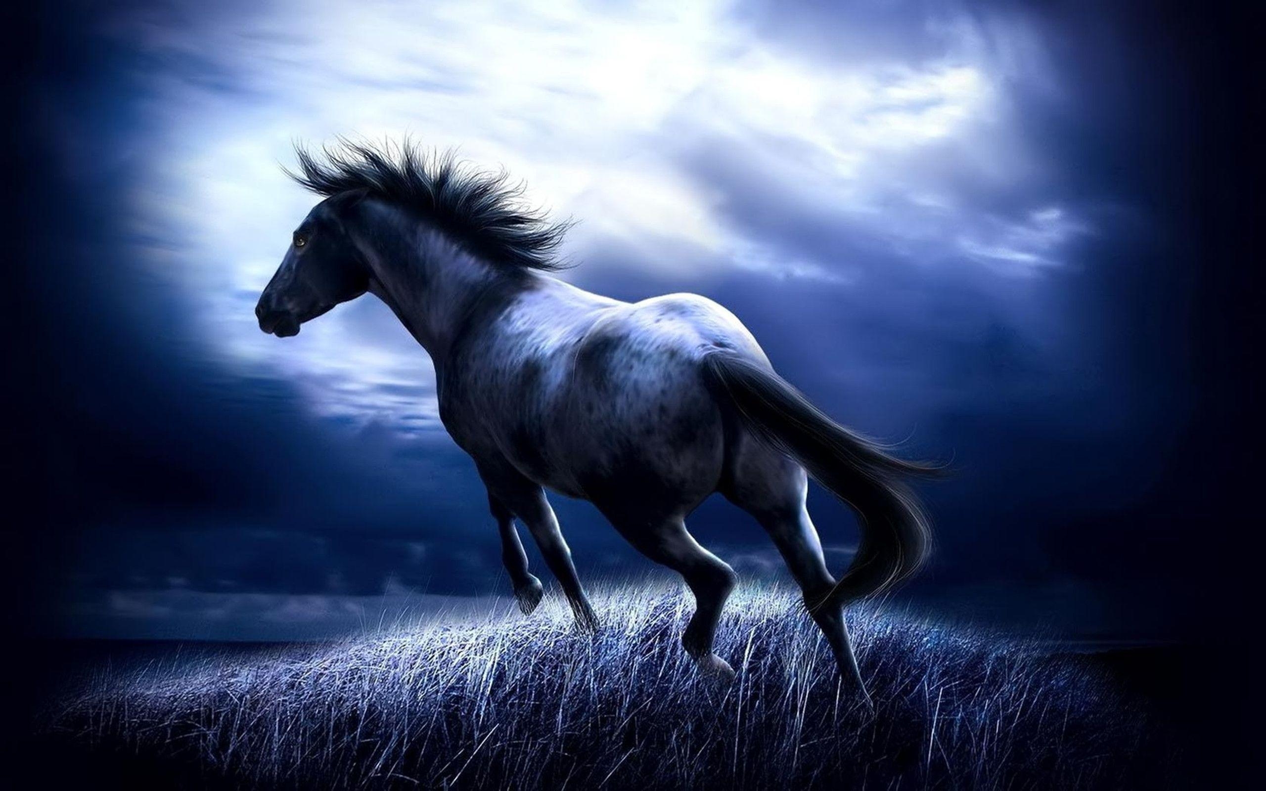 2560x1600 Wild Horse Computer Wallpaper, Desktop Background  Id, Desktop