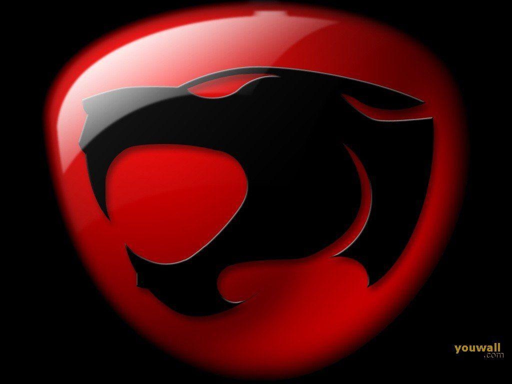 1030x770 thundercats wallpaper  more wallpaper cartoons wallpaper, Desktop