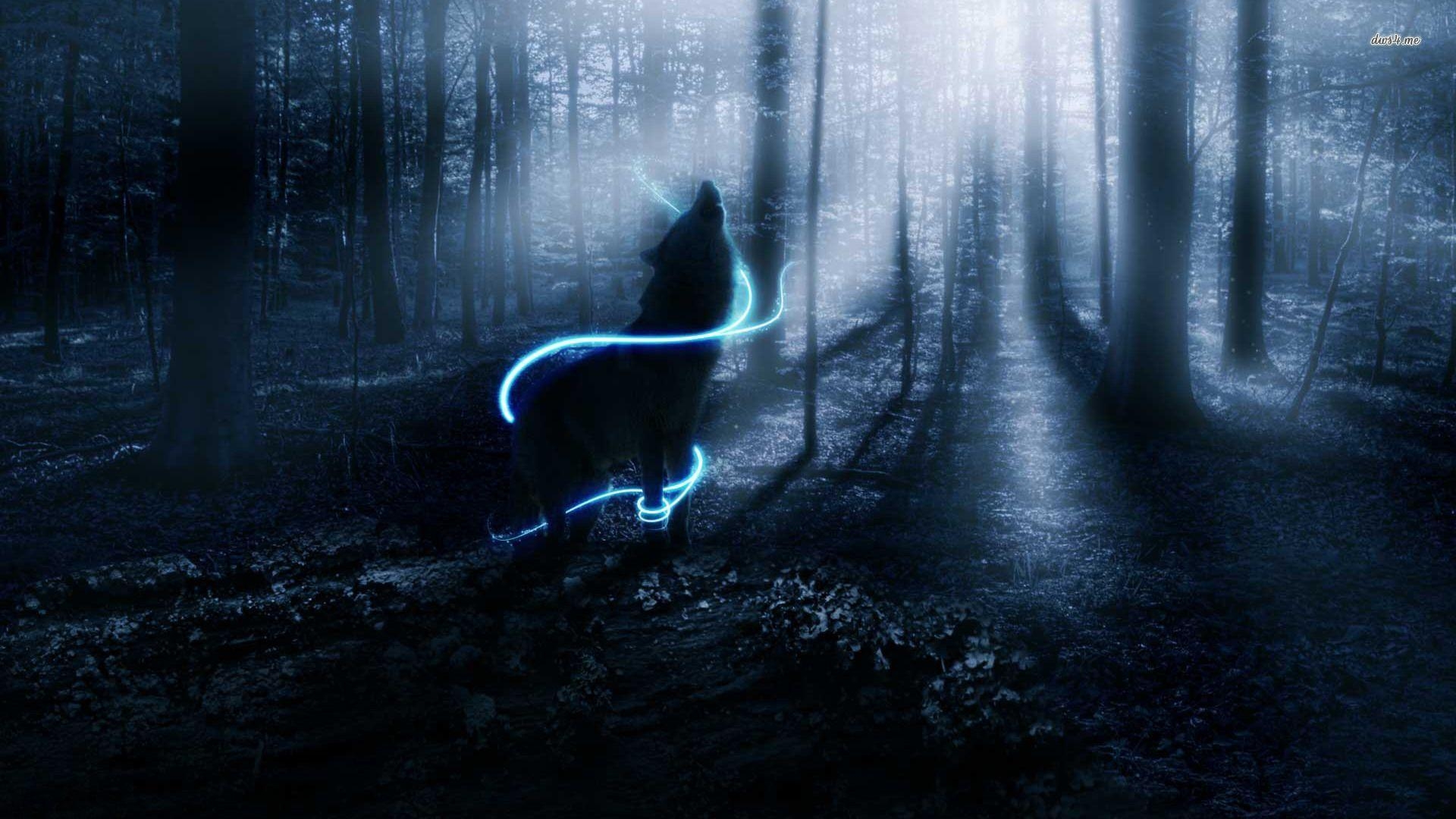 1920x1080 Wolf Howling Wallpaper Desktop, Desktop