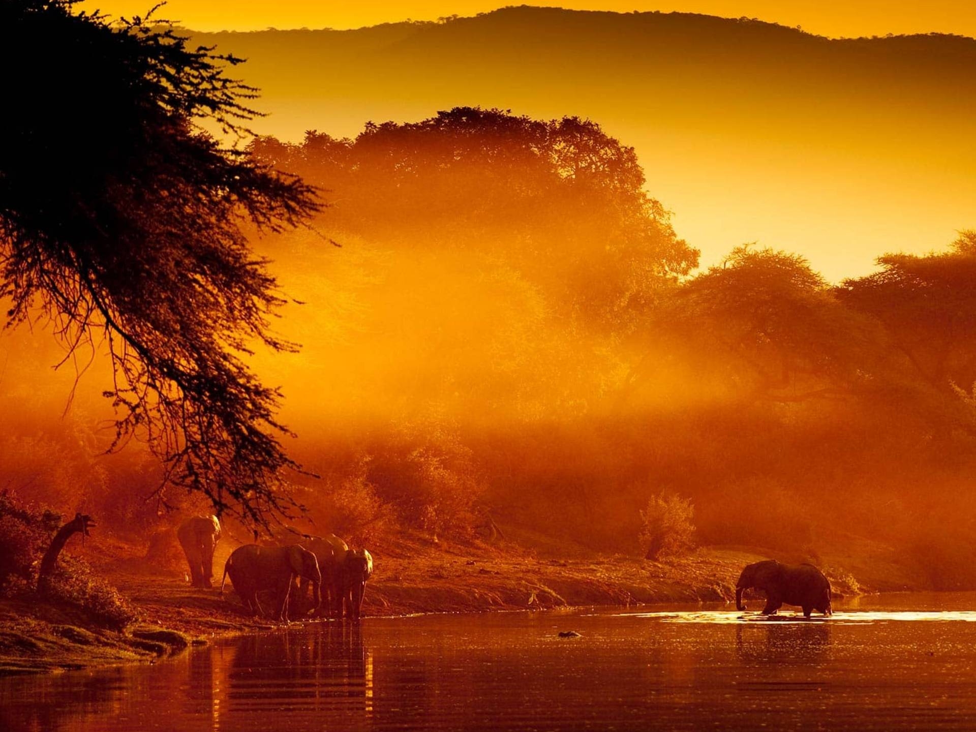 1920x1440 Lower Zambezi National Park, Desktop