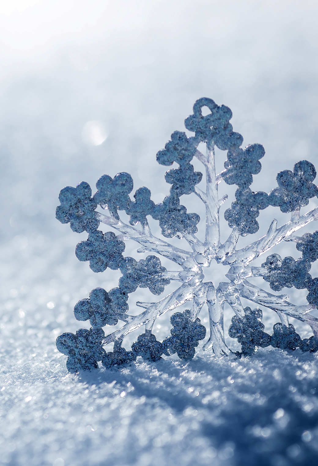 1040x1530 Ice Snowflake Wallpaper for iPhone Pro Max, X, 6, Phone