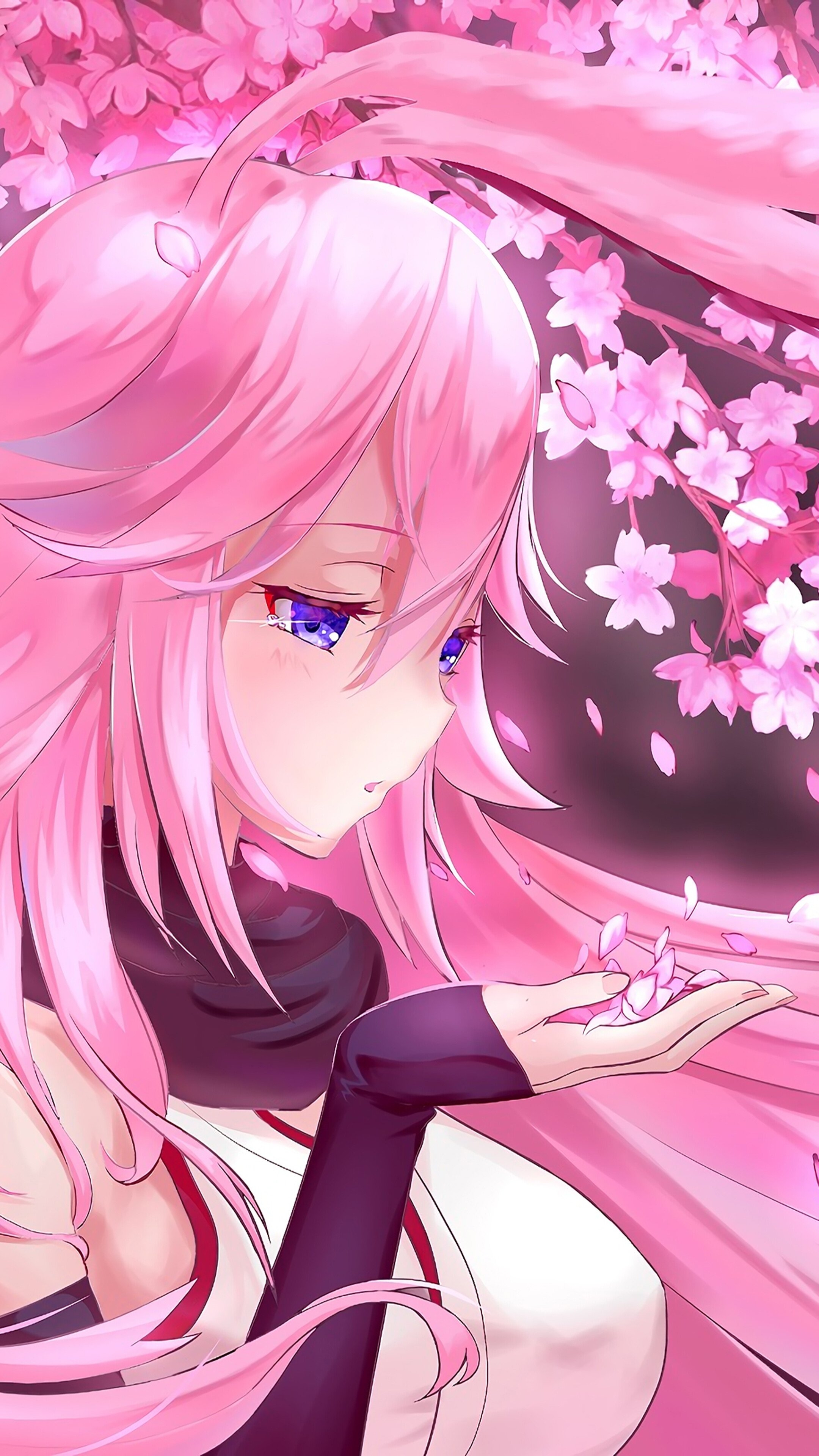 2160x3840 Free download 328269 Anime Girl Pink Hair Cherry Blossom Yae Sakura Honkai [] for your Desktop, Mobile & Tablet. Explore Anime Girl Pink Wallpaper. Anime Girl Wallpaper, Girl Anime, Phone