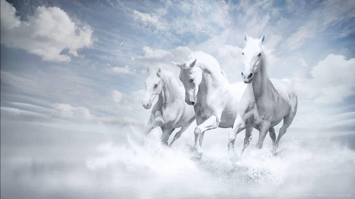 1370x770 horse wallpaper Picture, Jokes, Quotes, Poetry, Desktop