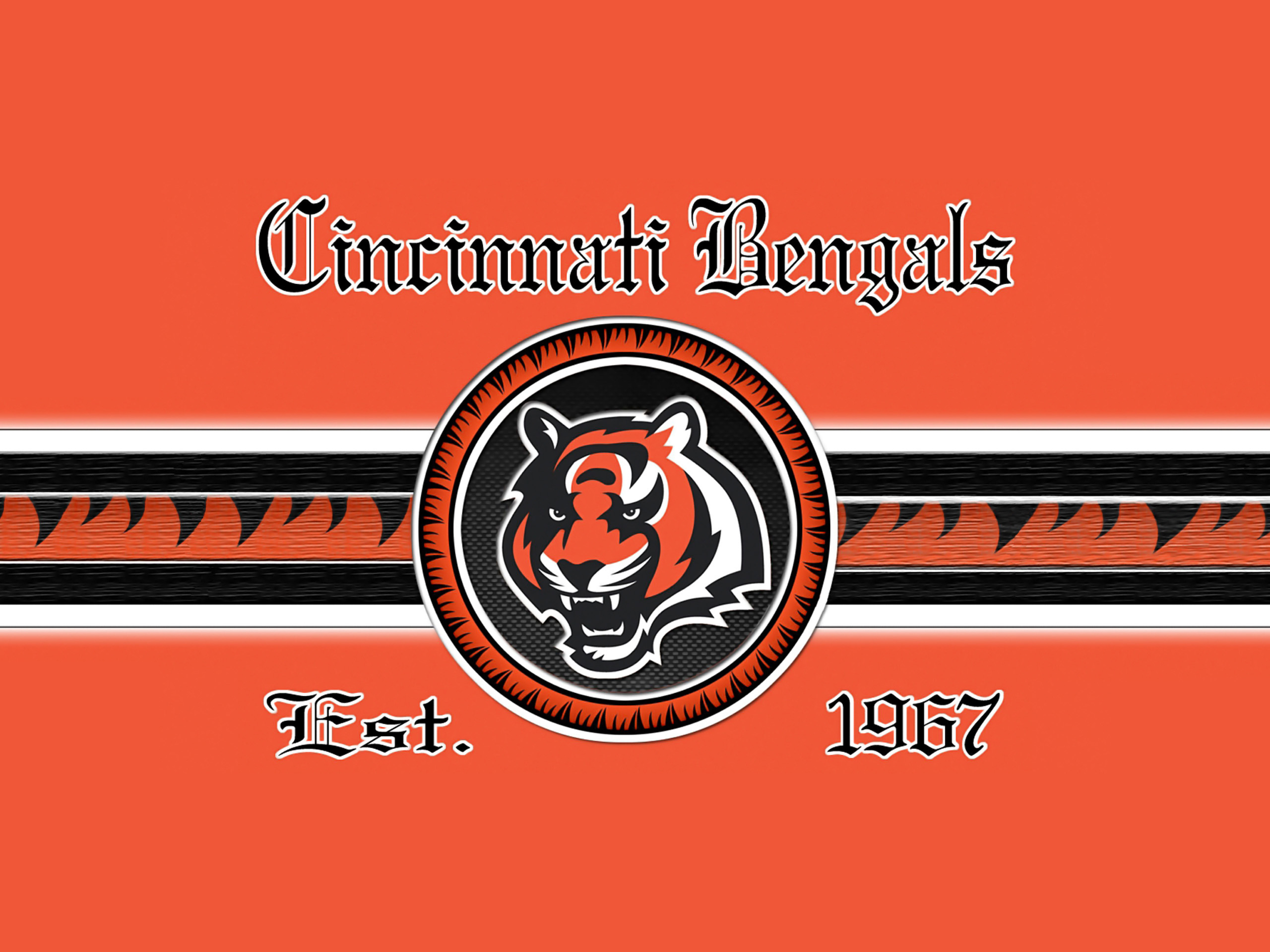 2560x1920 cincinnati bengals full orange 2560×1920, Desktop