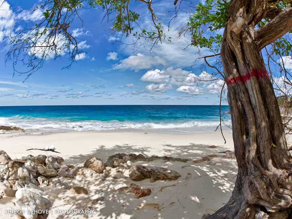 1030x770 Caribbean Beach Wallpaper. Welcome to Tropical Paradise, Desktop