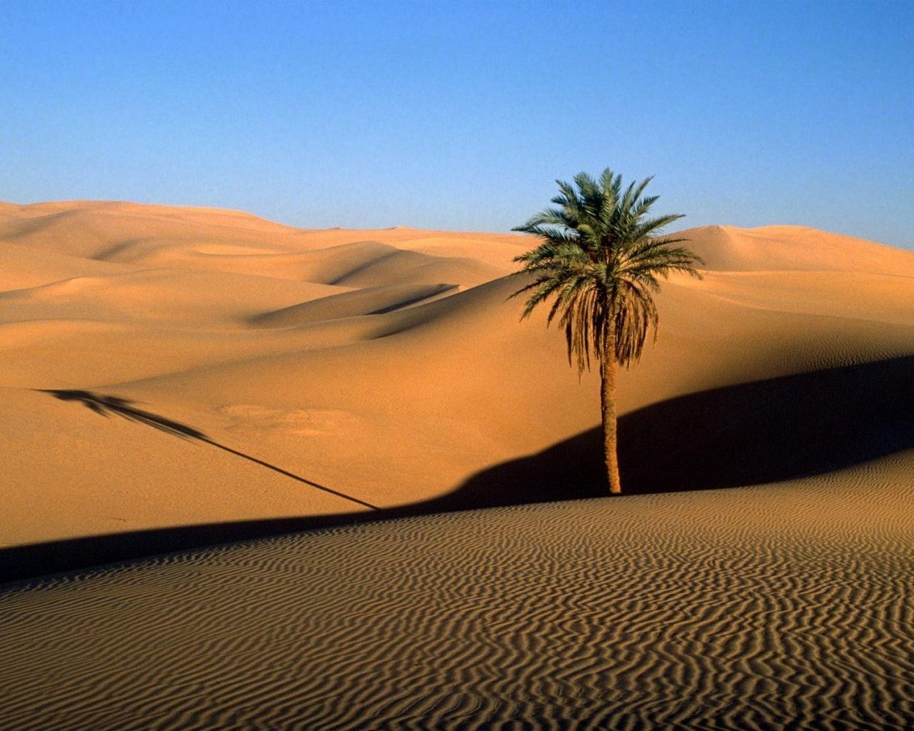 1280x1030 Sand Deserts Stones Textures Wallpaper Download, Desktop