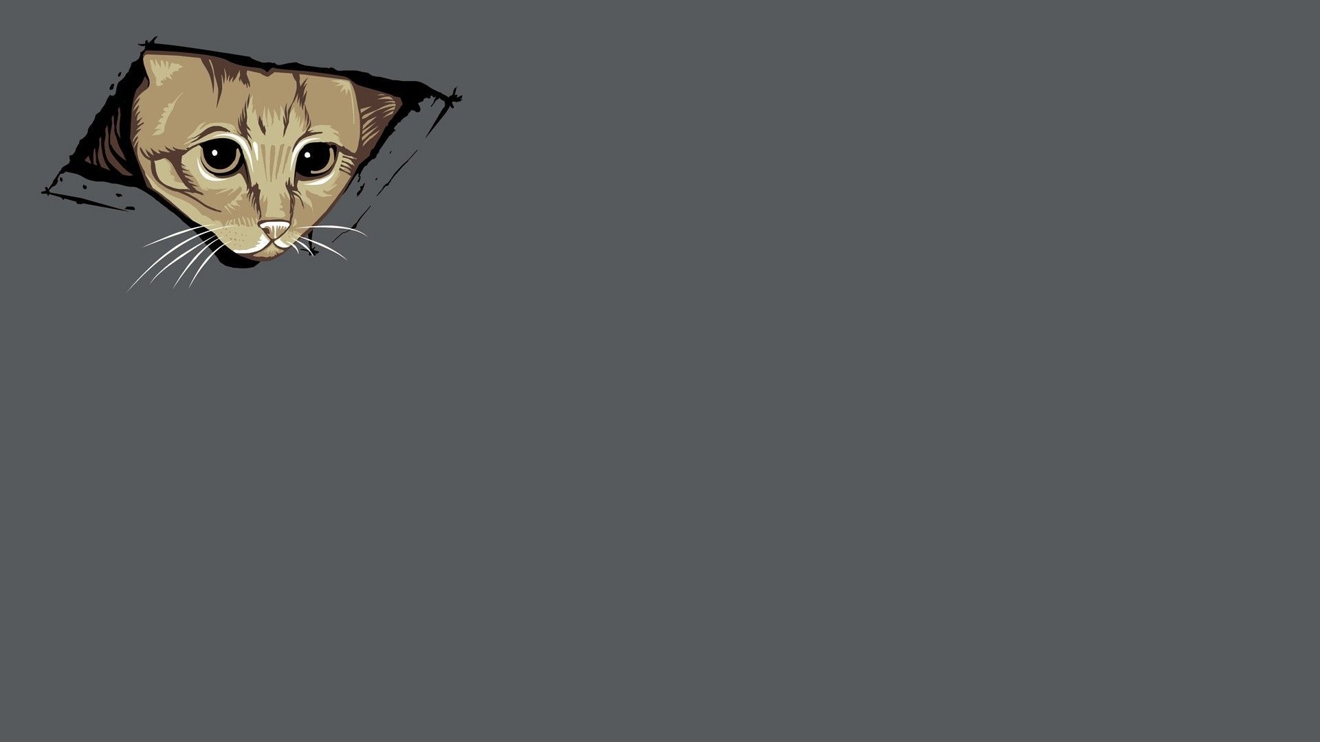 1920x1080 Minimalist Cat Wallpaper Free Minimalist Cat Background, Desktop