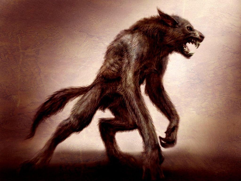 1030x770 Pix For > Halloween Werewolf Wallpaper, Desktop