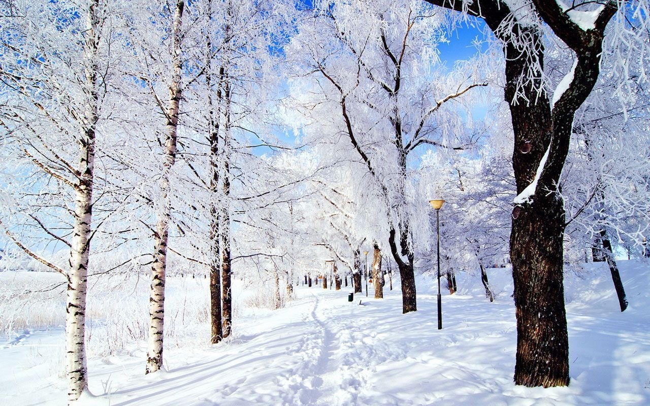 1280x800 Aesthetic Laptop Background Winter Wallpaper Portal, Desktop