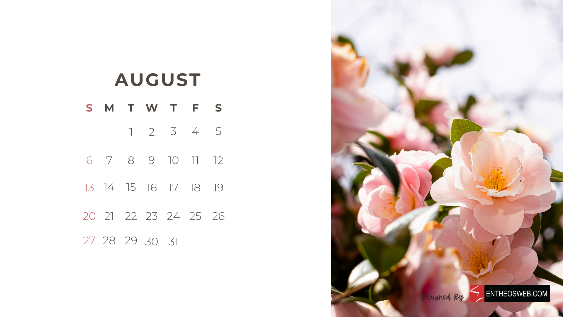 1920x1080 Beautiful Flowers 2023 Monthly Calendar for Desktop Wallpaper and Print, Desktop