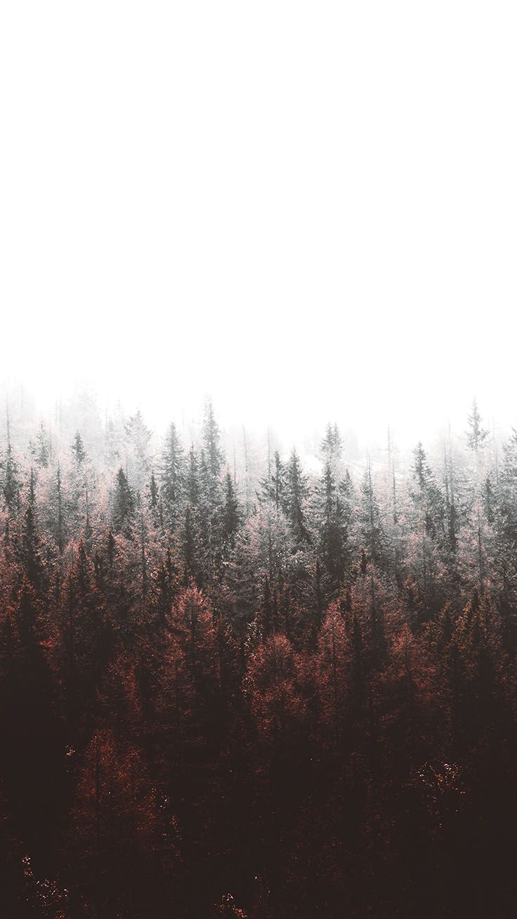 740x1310 Bringing The Forest To You With 9 Free iPhone X Wallpaper, Phone