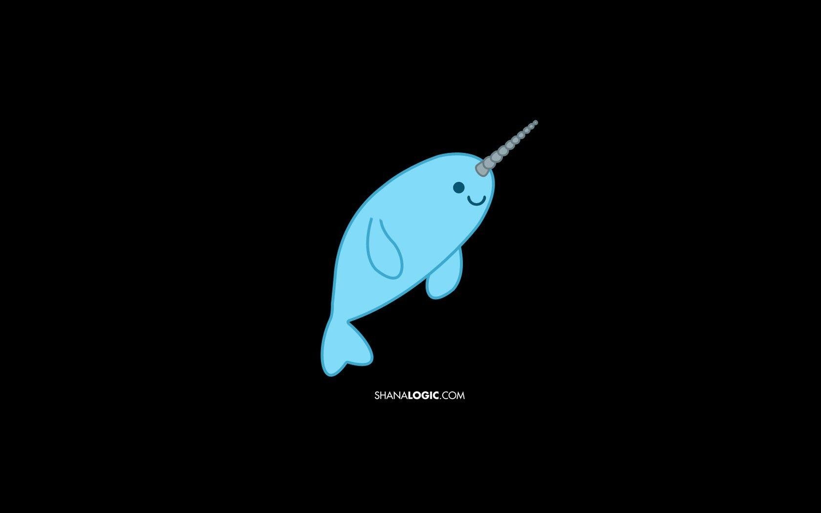 1680x1050 Narwhal Wallpaper, Desktop