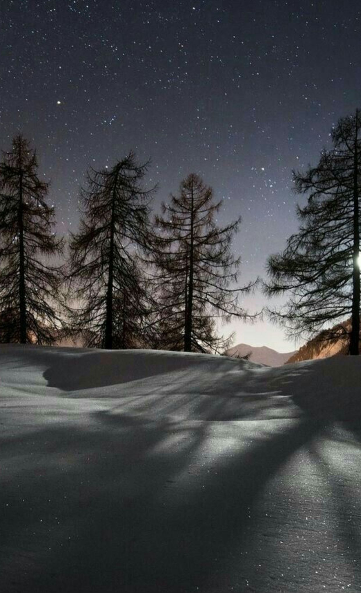 1250x2050 Winter Night iPhone Wallpaper Free Winter Night iPhone Background, Phone