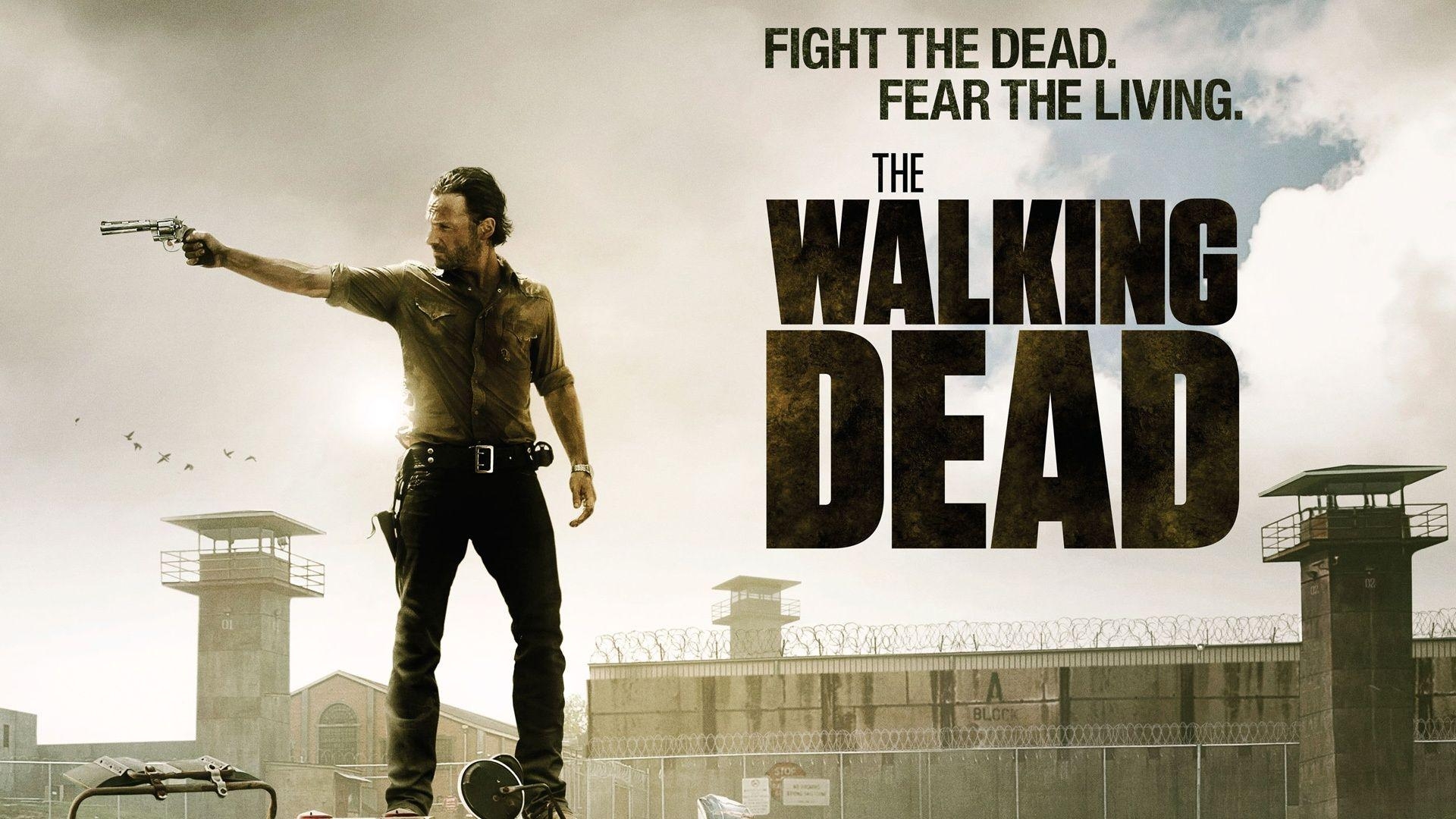 1920x1080 TV Show The Walking Dead HD Wallpaper, Desktop