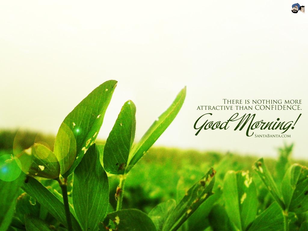 1030x770 Good Morning Wallpaper, Desktop