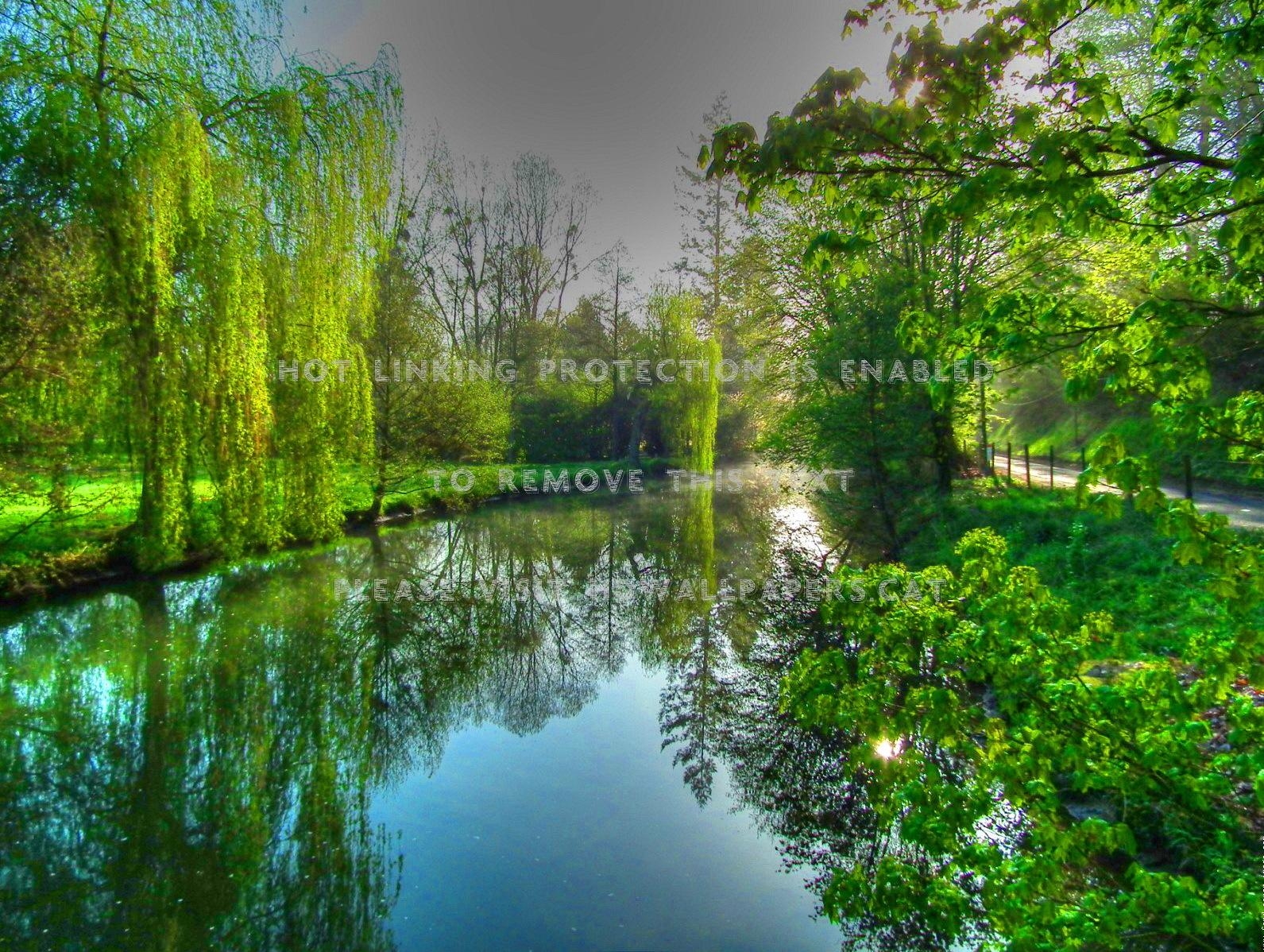 1600x1200 green river spring trees riverbank branches, Desktop