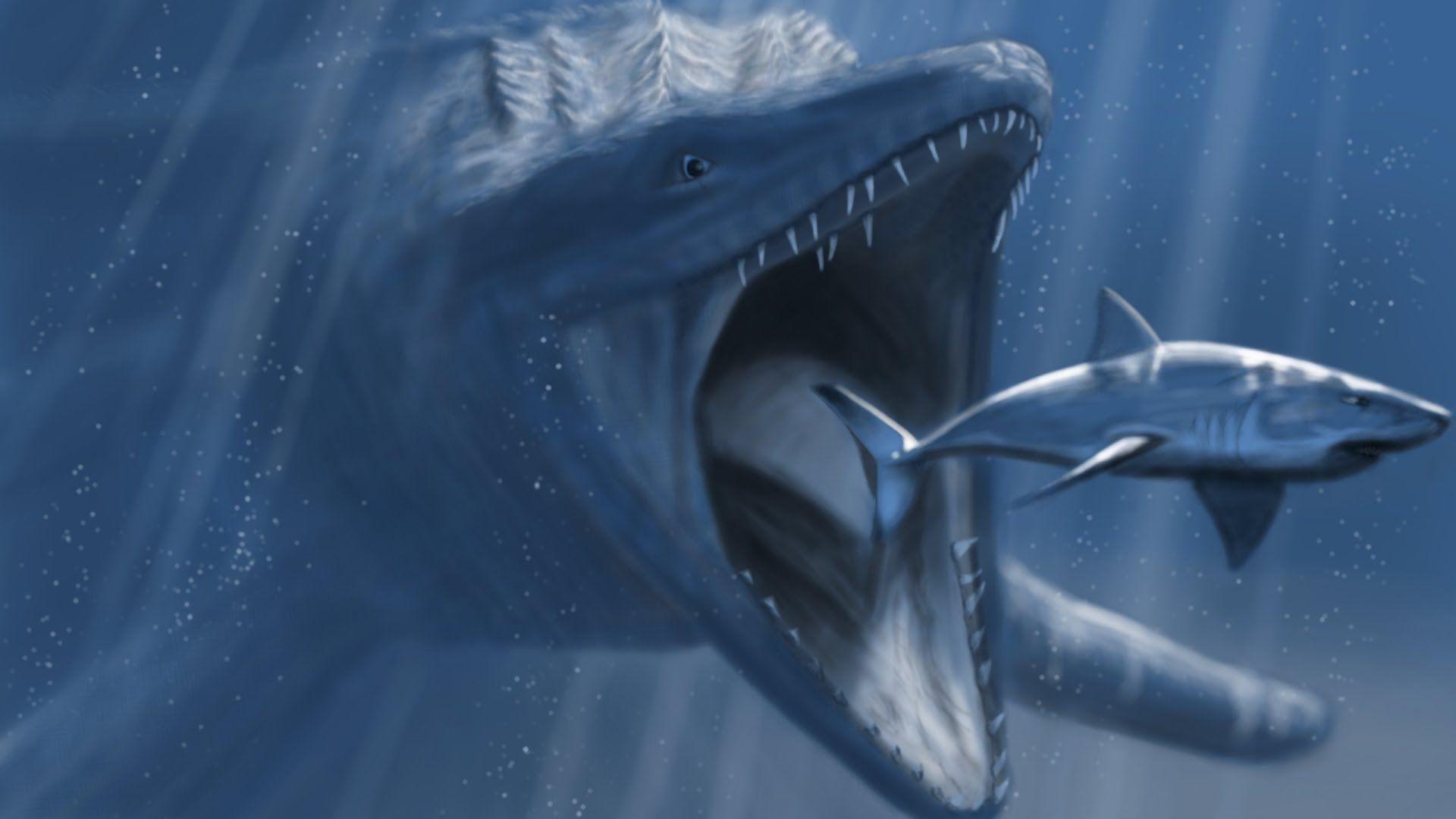 1920x1080 mosasaurus size GIFS. Google, Desktop