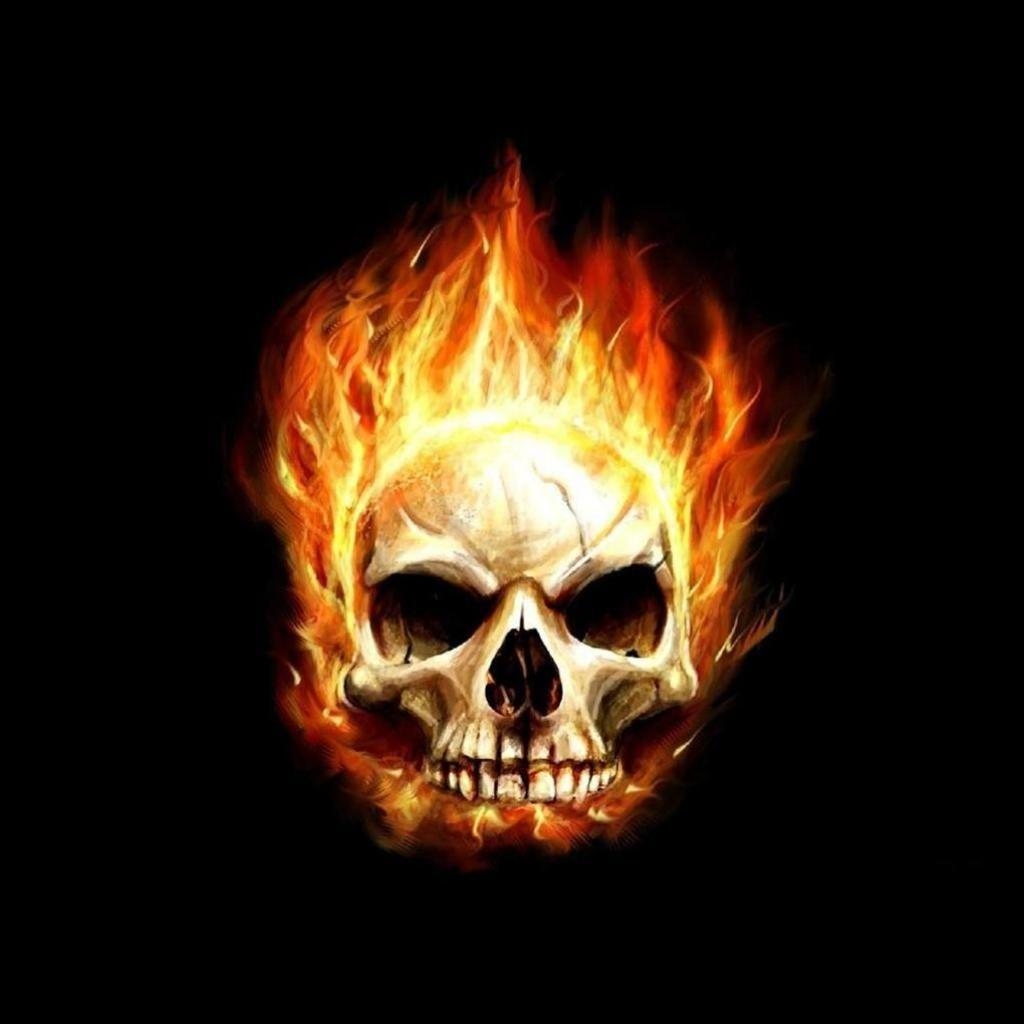 1030x1030 skull.. skull wallpaper skull skull avatars war skulls skulls, Phone