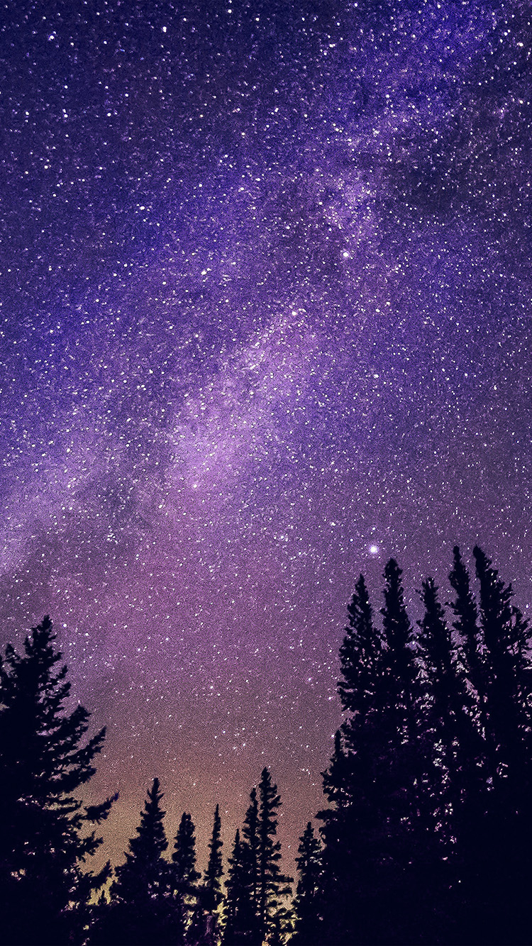 750x1340 iPhone X wallpaper. night starry sky aurora winter blue purple, Phone