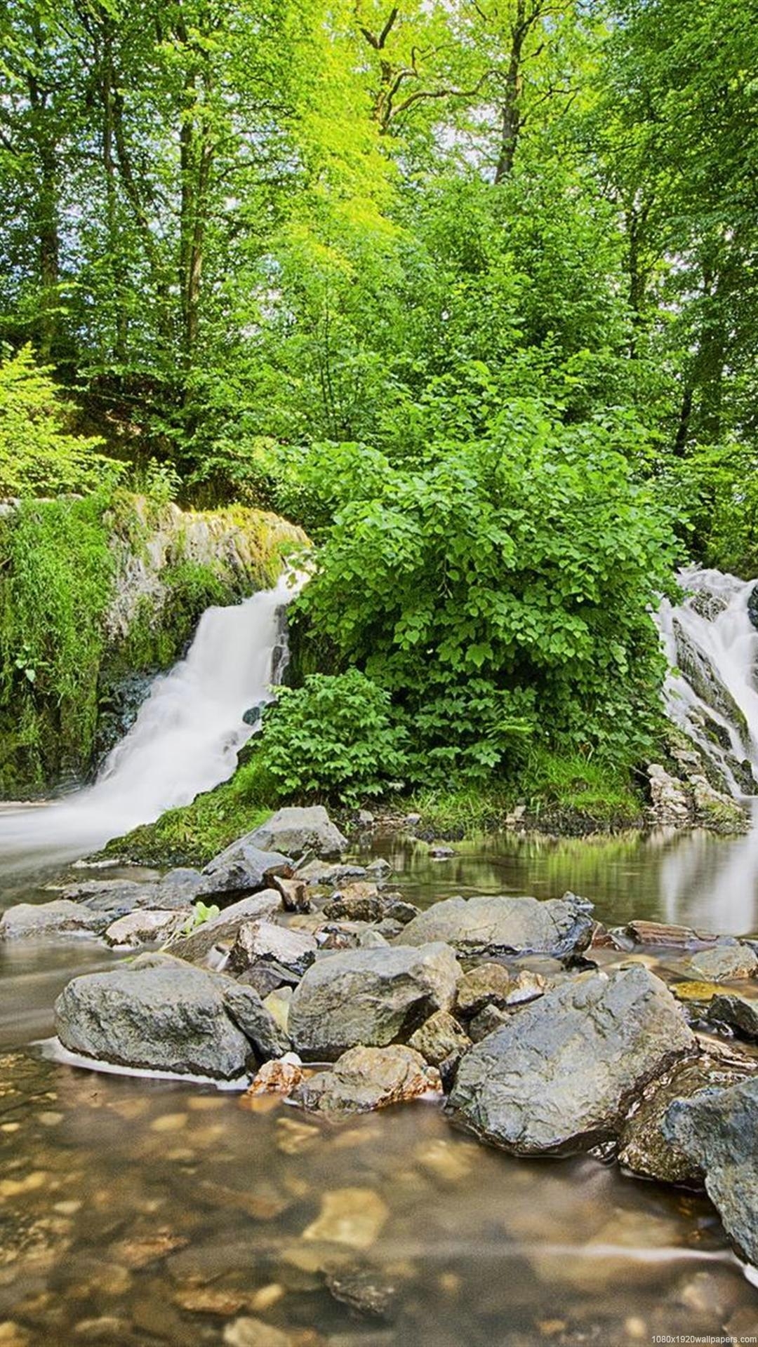 1080x1920 Tree Green Waterfall Nature Forest Wallpaper HD, Phone