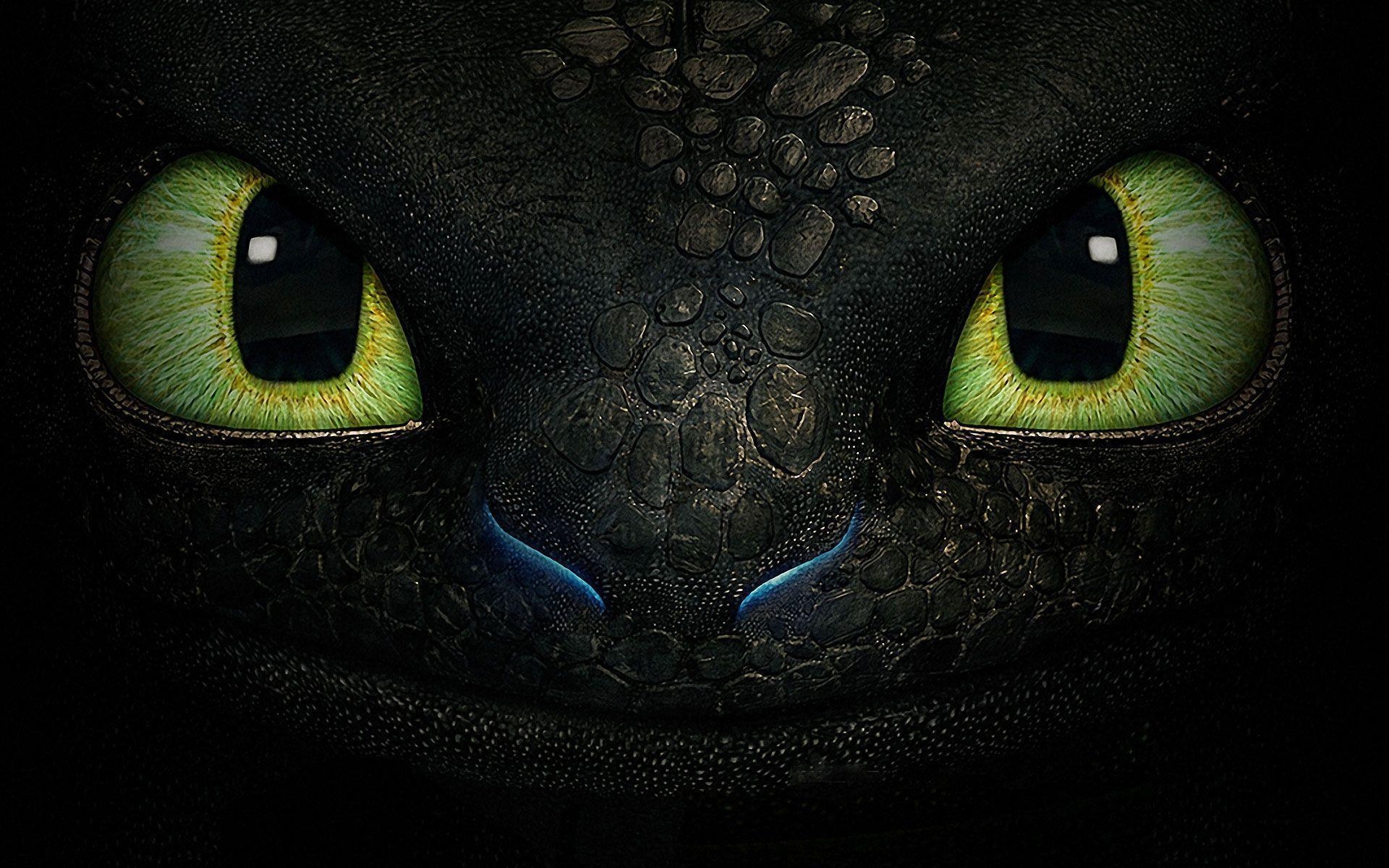 1920x1200 How to Train Your Dragon 2 Wallpaper HD Collection, Desktop