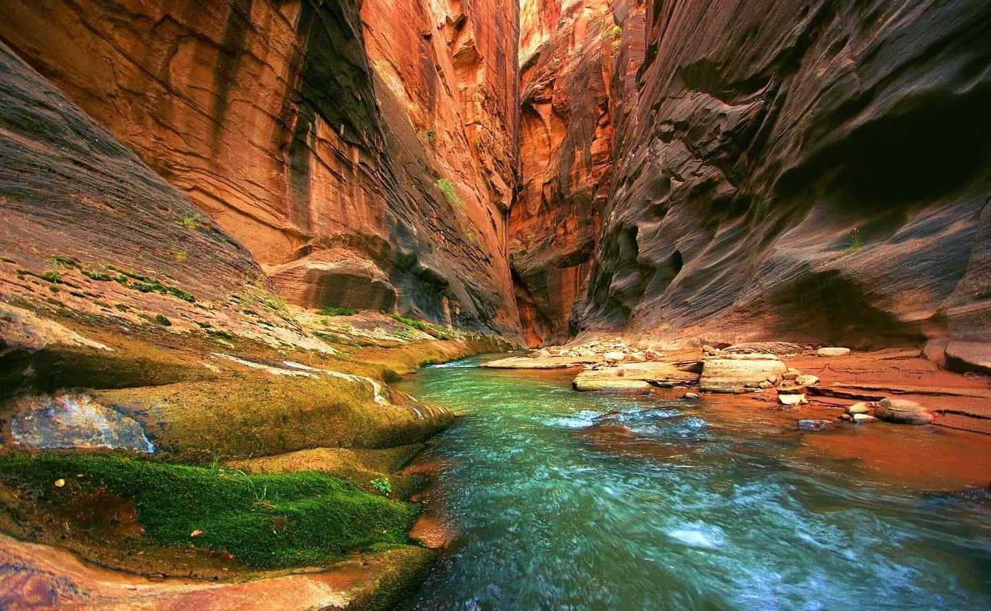 1440x890 Hiking the Narrows in Zion. Hiking Zion. National, Desktop