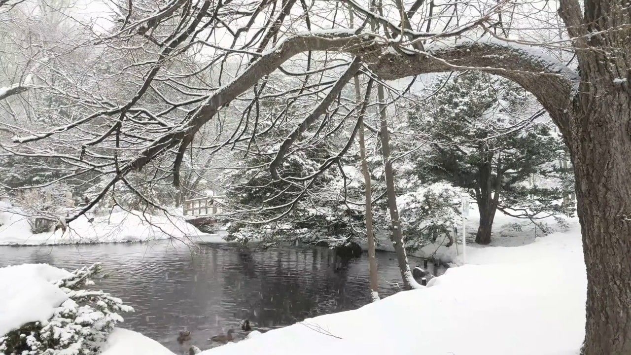 1280x720 8hrs of Snow Falling on Lake with Relaxing Music for Relaxation, Meditation, Sleep, Study, Insomnia, Desktop