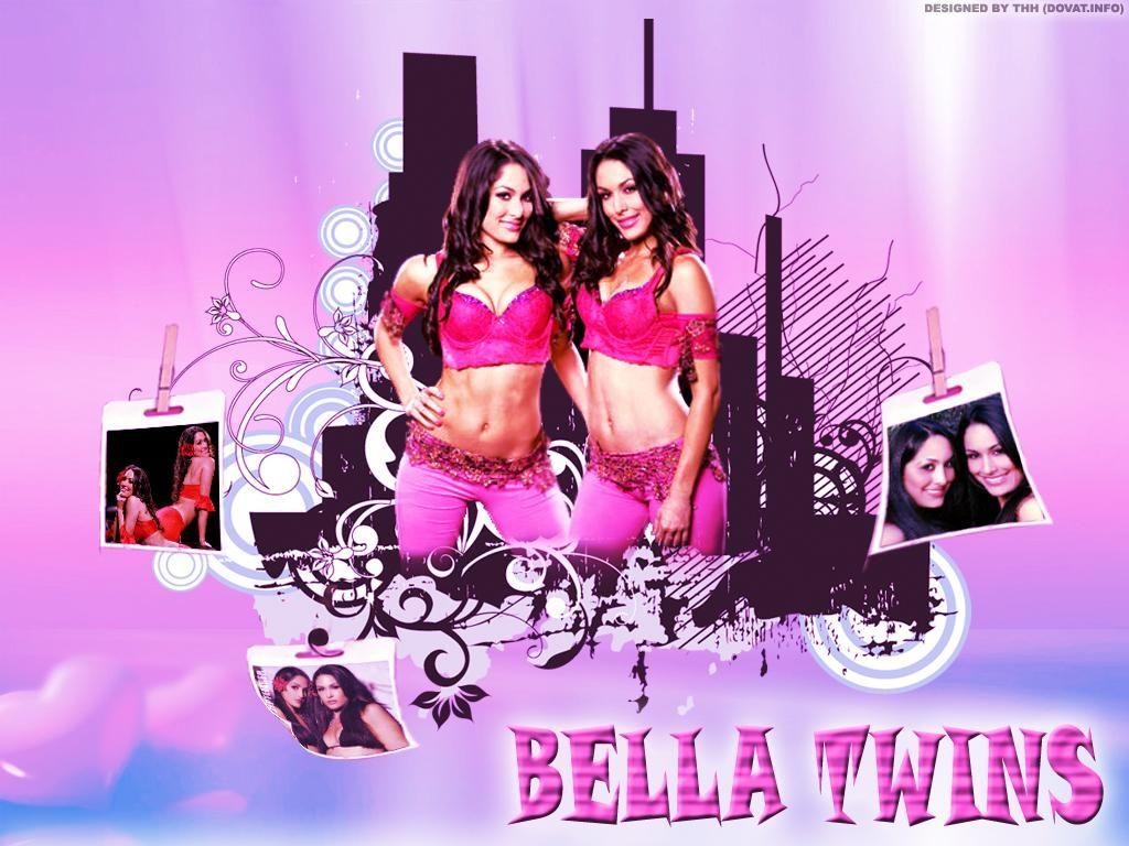 1030x770 WWE Bella Twins, Desktop