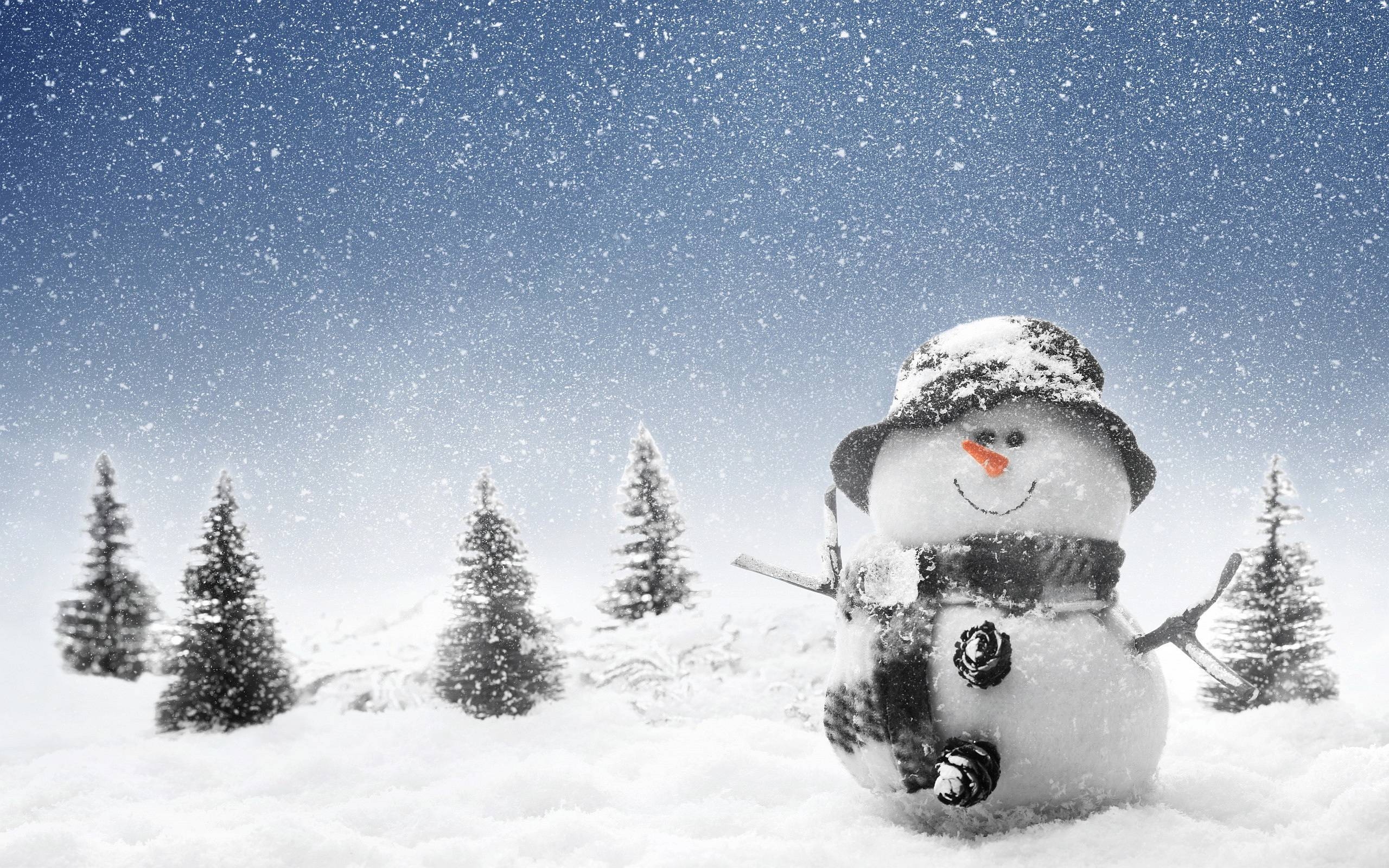 2560x1600 Winter Snowman Wallpaper, Desktop