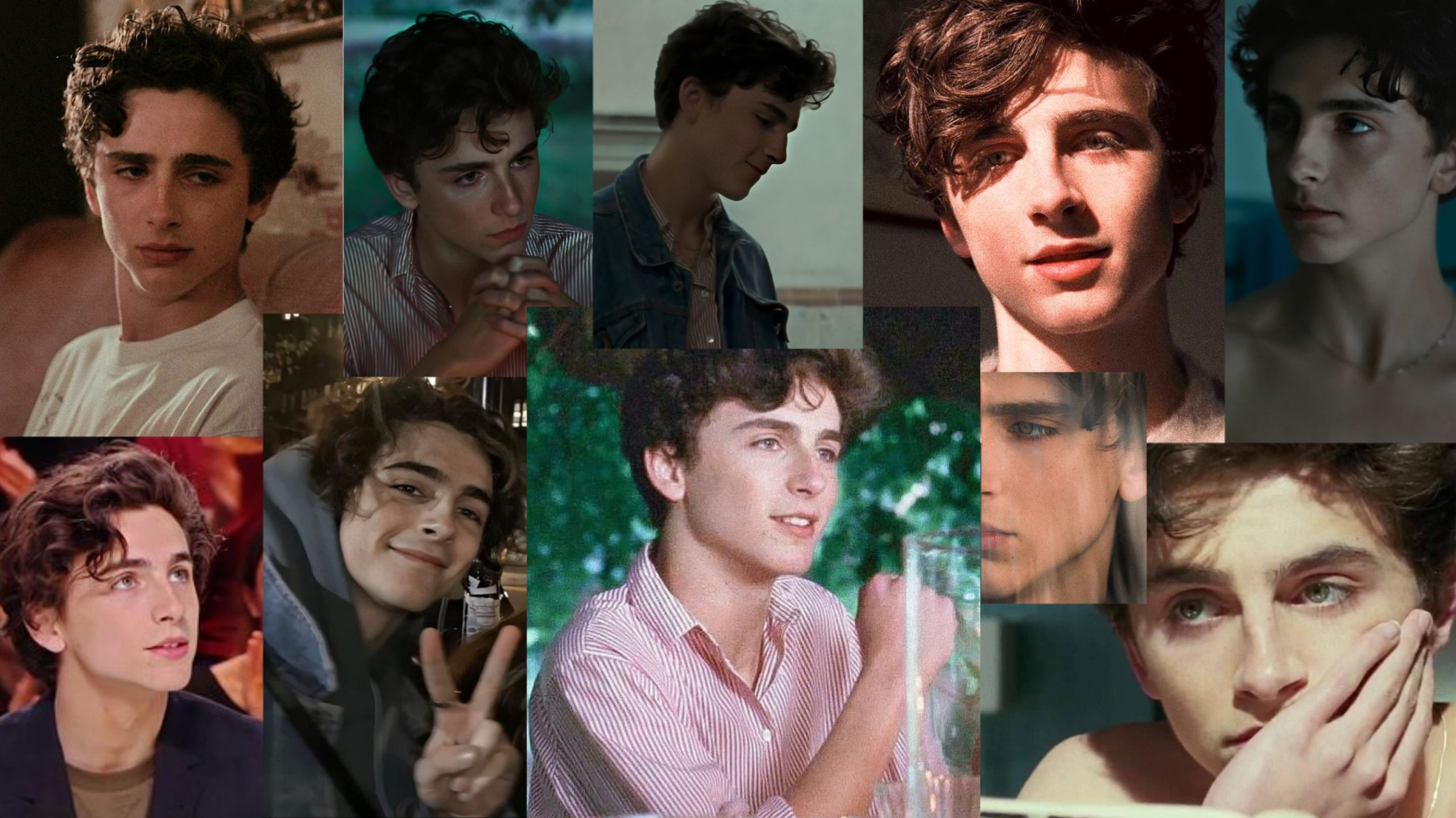 2560x1440 Timothee Chalamet Laptop Wallpaper Background. Timothee Chalamet, Fondos De Pantalla Pc, Novios, Desktop