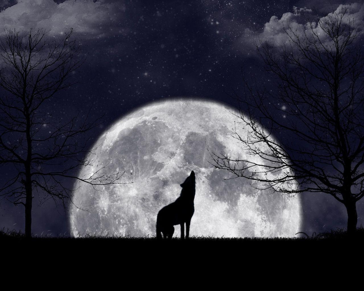 1280x1030 Wolf Howling Moon, Desktop