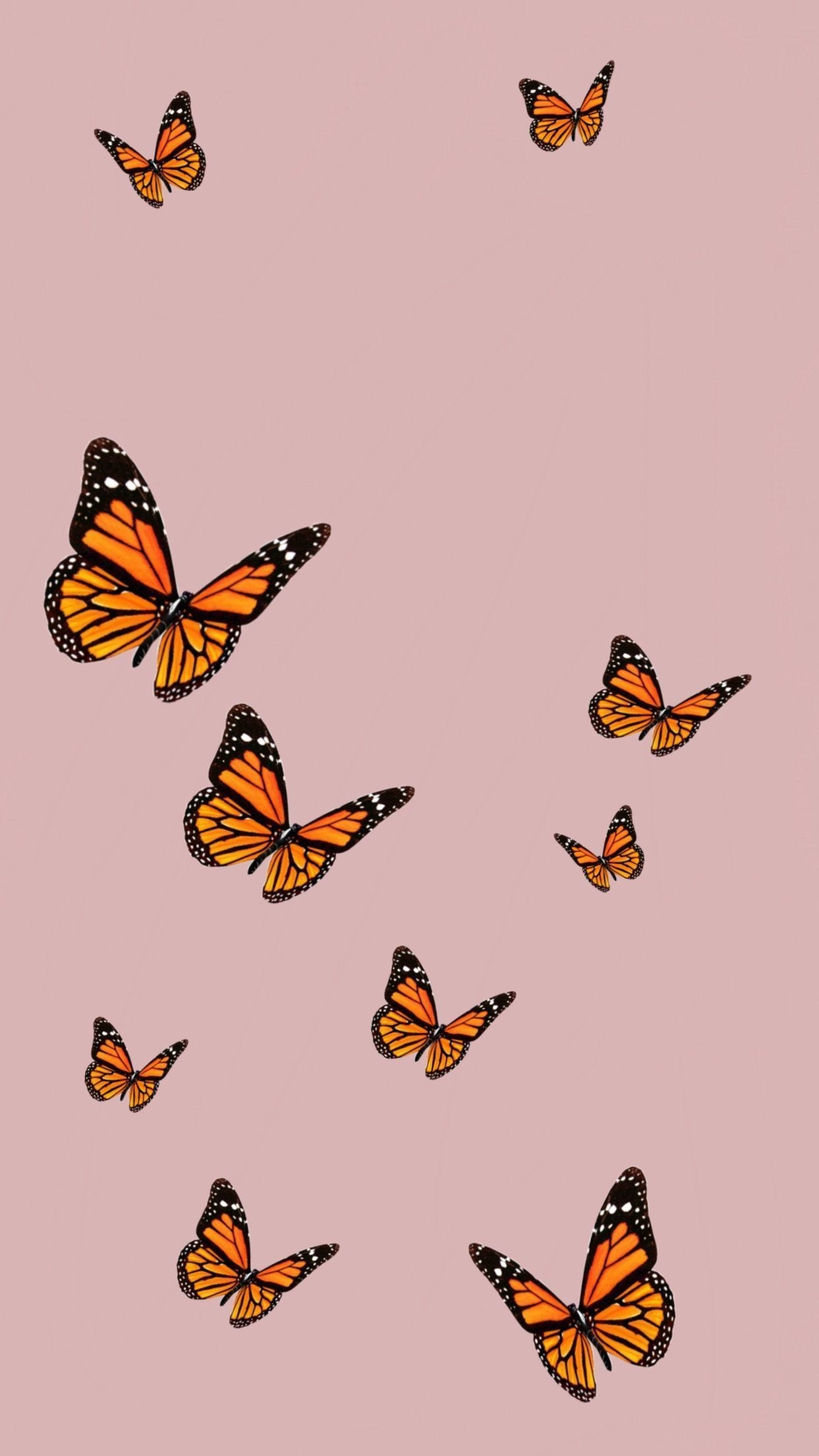 1250x2210 Pretty Butterfly Wallpaper (best Pretty Butterfly Wallpaper and image) on WallpaperChat, Phone