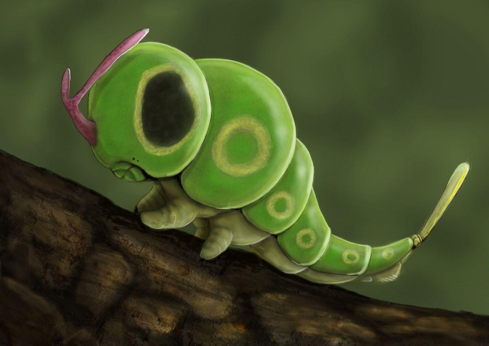 1600x1140 Caterpie, Desktop