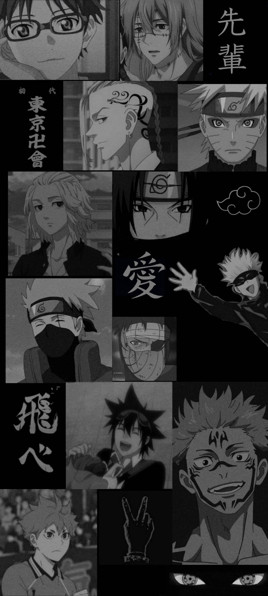 870x1920 Download Anime Collage Black And White Pfp Wallpaper, Phone