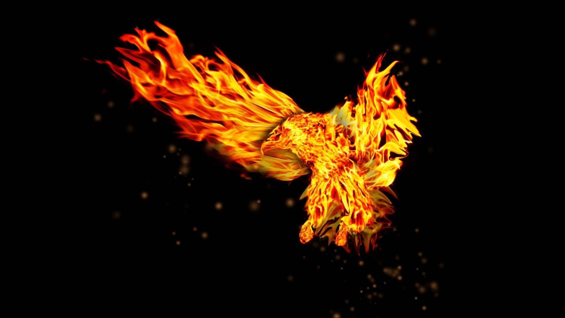 1920x1080 Fire Eagle HD desktop wallpaper, Widescreen, High Definition, Desktop