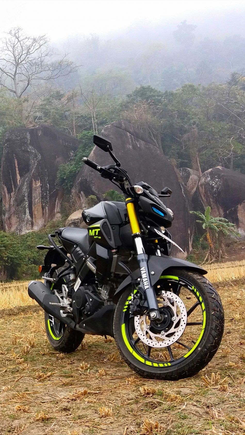 950x1690 Yamaha MT15 Winter Fog 4K Ultra HD.in.com, Phone