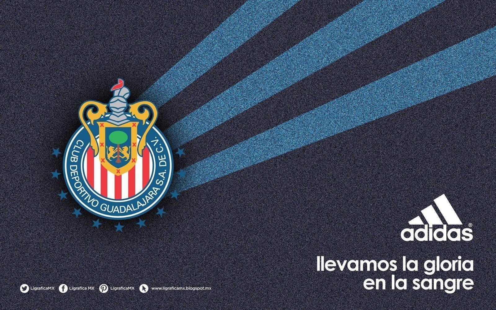 1600x1000 Chivas HD Wallpaper and Background Image, Desktop