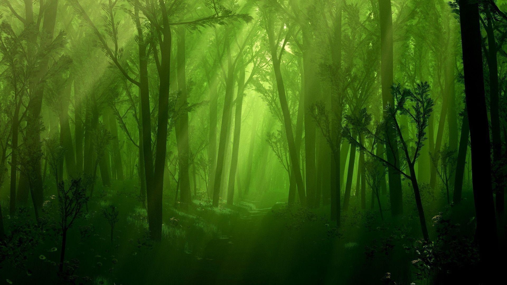 1920x1080 Enchanted Forest wallpaper, Desktop